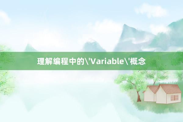 理解编程中的'Variable'概念